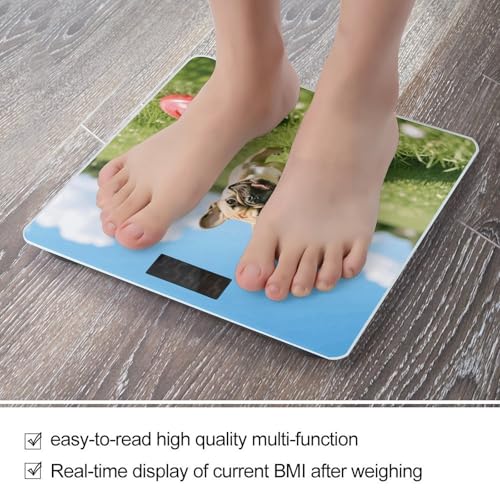 Balanza digital para baño 180 kg con pantalla LCD miniatura 5