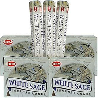 White Sage Incense Sticks and Cone Incense Holder Variety Pack Bundle insence insense insienso