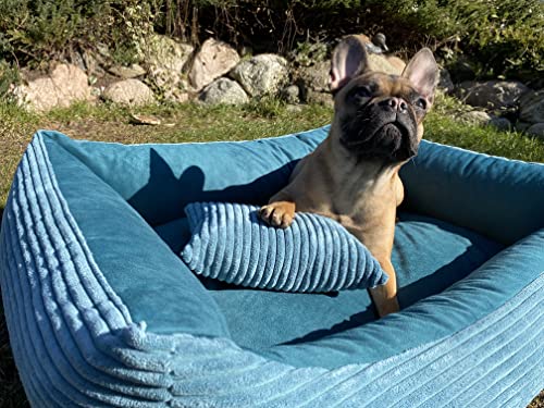 4L Textil Molly Kuscheliges Cord Hundebett mittelgroße Hunde Hundekorb aus Cord Hundekörbchen mittelgroße Hunde Hundesofa Türkis (80x60 cm, Türkis)