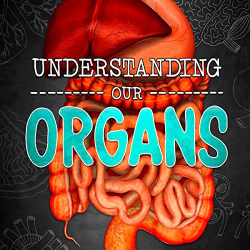 Understanding Our Organs by Lucy Beevor episode artwork