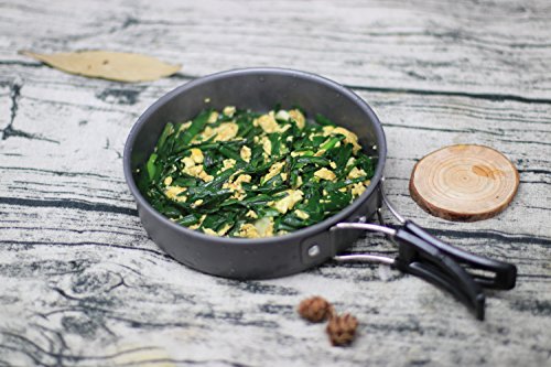 16Pcs Camping Cookware Stove Carabiner Folding Spork Set Bisgear(Tm) Outdoor Camping Hiking Backpacking Non-Stick Cooking Non-Stick Picnic Bowl Pot Pan , Folding Spork , Mini Stove With Piezo Ignition #TOP7