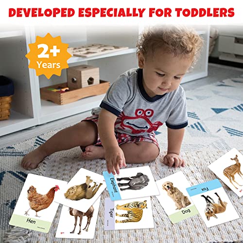 Image of Big Flash Cards for Kids: Animals | 32 Double-Sided Picture Cards, Durable & Water Resistant | Early Learning & Development Toy for Preschoolers & Toddlers 2-6 Years | Can Be Wiped Clean