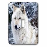 3dRose lsp_173719_1 Rocky Mountain Gray Wolf Light Switch Cover