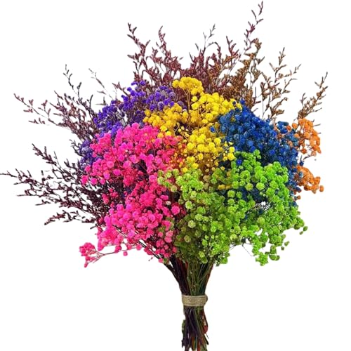Ramo de flores secas naturales multicolor de 17.7 pulgadas miniatura 2