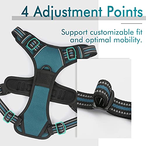 Image of rabbitgoo Dog Harness No Pull with 2 Leash Clips, Adjustable Soft Padded, Reflective Oxford No Choke Pet Vest with Easy Control Handle for Small Dogs, Blue Coral, S