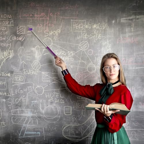 5 Stück Ausziehbar Zeigestab Teleskop Lehrer Zeiger Versenkbare Klassenzimmer Zeiger Teleskopstab Zeigestock Edelstahl Ausziehbar Lehrzeiger Hand Zeiger für Präsentationen (5 Farben)