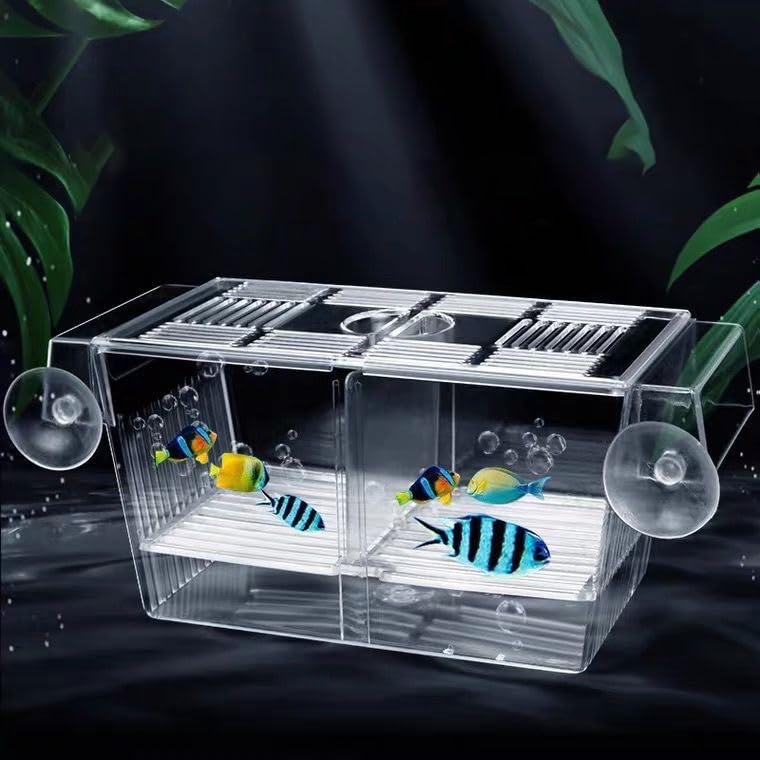 Animaux Chicos Aquarium Guppy/Betta Breeding Acrylic Transparent Isolation Box (1 L) Rectangle Aquarium Tank (1 L) (B0B8N629WY) Amazon Price History, Amazon Price Tracker