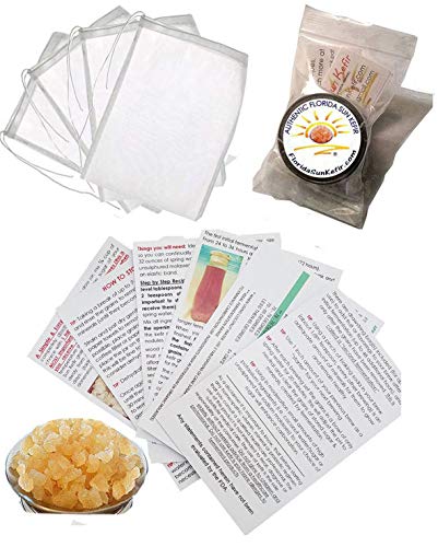 FOUR Brewings Bags PLUS GENEROUS Portion Cup 33% MORE of Live Florida Sun Kefir Water Kefir Grains (Tibicos) Natural Probiotics