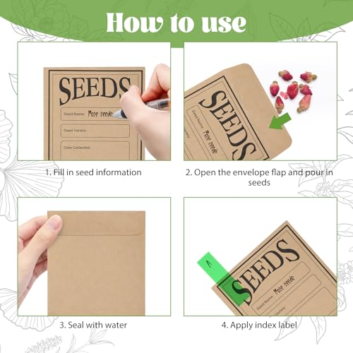 Boîte de rangement pour semences pour organiser le potager