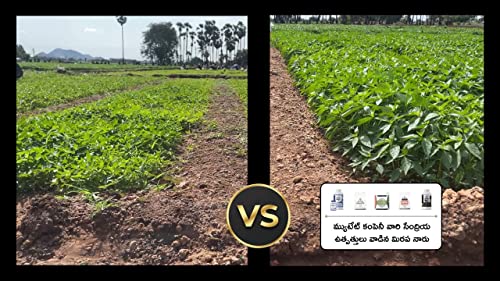 Image of Mutate Company'S - Avani Sudhi - Organic Fertiliser - Plant Immunity Booster - Soil Repair Expert (1500 Grams)