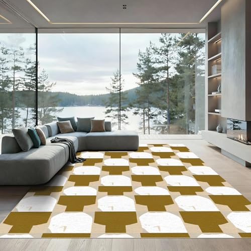 ODIKA Flatwoven High Traffic Area Rug 6x9, Minimalist Design with