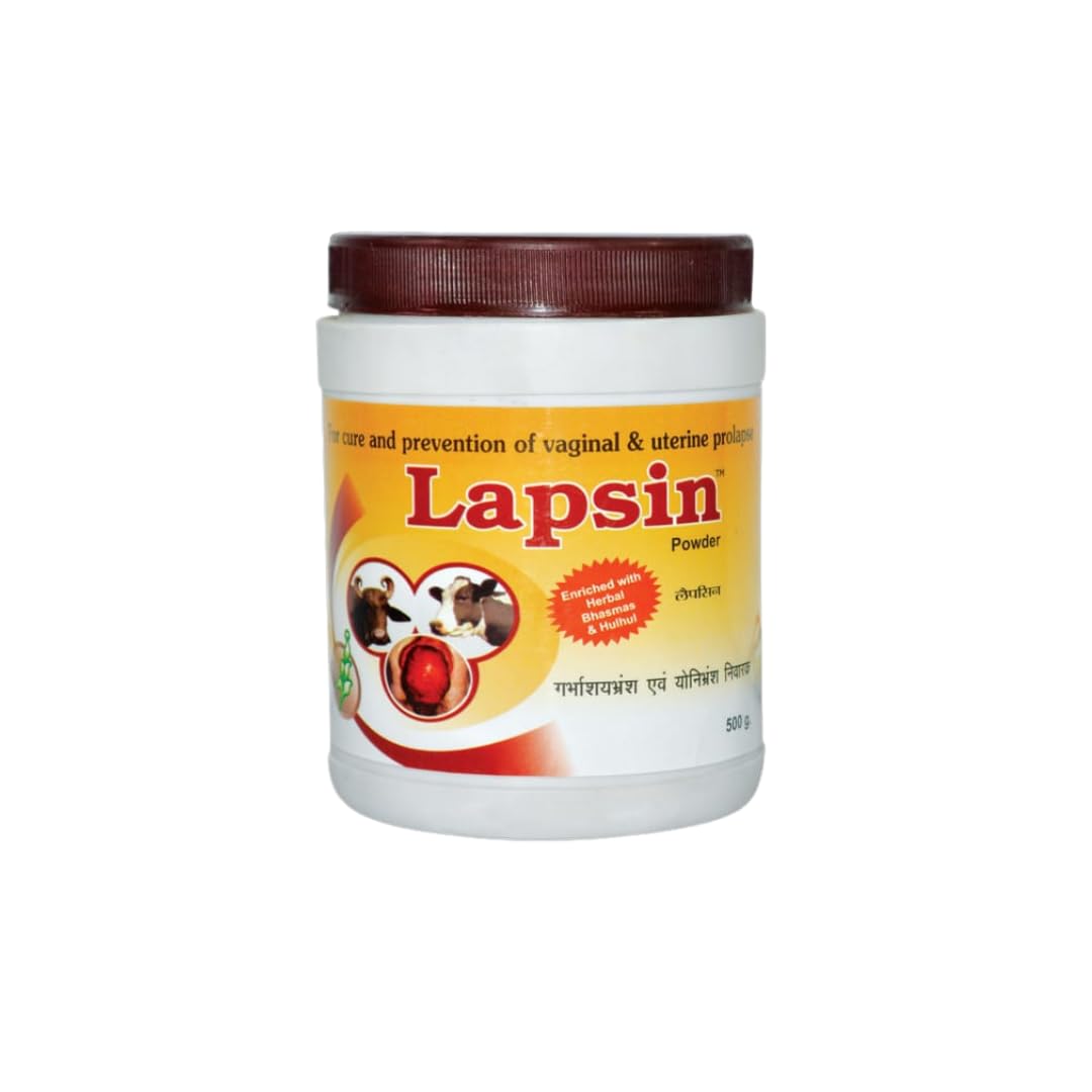 Phoenix Lapsin Powder (500 g) (B0D9W1PDW1) Amazon Price History, Amazon Price Tracker