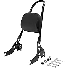 TCT-MOTORPARTS Black Detachable Sissy Bar Backrest Fit For Harley Sportster XL 883 1200 Iron Roadster Low Custom Forty Eight 2004-2022