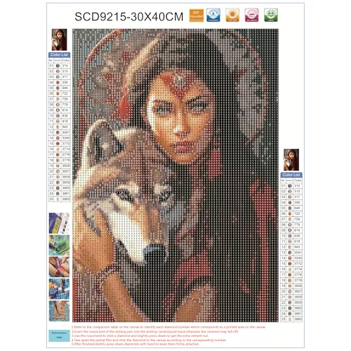 Image of 5D Diamond Art Painting Kits for Adults American Native Indian Girl with Wolves Round Full Drill Diamond Art for Wall Decoration Gift 12x16 inch