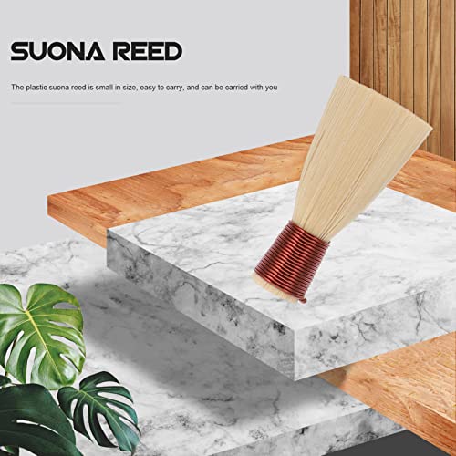 Milisten 3Pcs D Key Suona Reed Suona Introductor Reeds Instrument Suona Reeds Portable Suona Reeds For Suona Instrument Accessories #TOP2