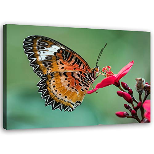Tableau sur toile XXL papillon art image deco fleur vert 100x70 cadre déco murale