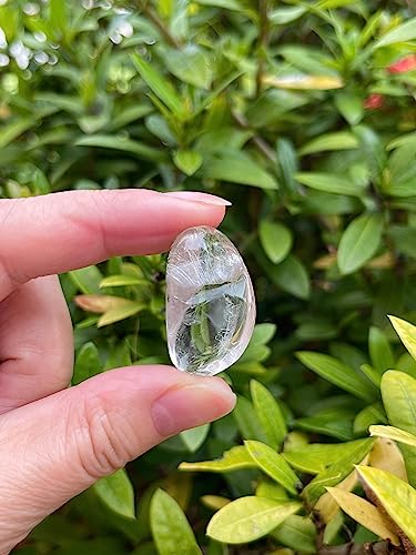 Image of GAF TREASURES 1 /2 LB Clear Quartz Tumbled Stones, Polished Natural Clear Quartz Gemstone, Clear Quartz Healing Crystals (Clear Quartz)