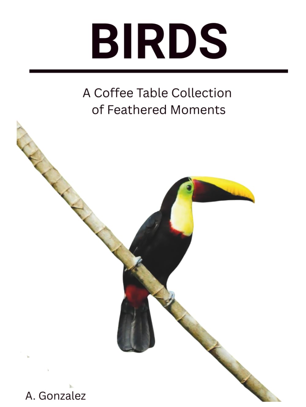 BIRDS: A Coffee Table Collection of Feathered Moments: Hardcover Coffee Table Book Décor | Large 8.25 x 11 in | Tropical Bird Photography for Nature & Travel Lovers | Poetic Captions