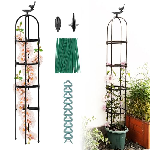 Mejores precios y opiniones de Enrejado para jardin más recomendados. 33 April'sWorld - Enrejado de obelisco de jardín para plantas trepadoras al aire última intervensión, un soporte versátil para plantas para vides, rosas y verduras de jardín...