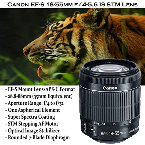 Canon EOS Rebel SL2 Cámara DSLR con lente y accesorios miniatura 3