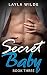 Secret Baby (Book Three) (Billionaire Baby 3)