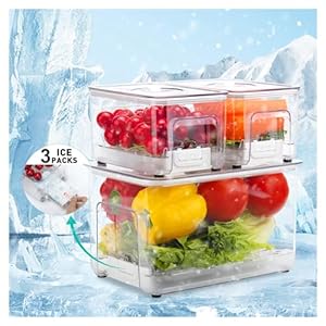 Food Storage Containers with Ice Pack for Camping Picnics: Set of 3 Fridge Organizer Bins, BPA Free Produce Saver with Removable Drain Tray, Kitchen Storage Containers with Lids Airtight