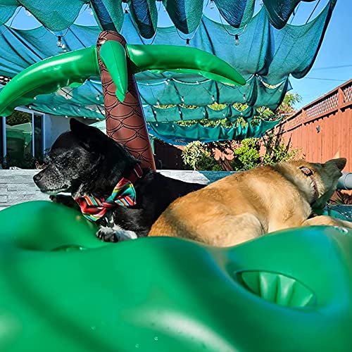 Kucdbun Dog Pool Floats Set, Dog Float Raft With Collapsible Dog Bowl, Non-Toxic Floating Dog Water Toys For Small Dog, Puppy And Doggies, Coconut Tree #TOP1