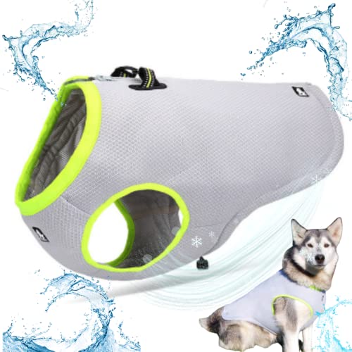 Juvendy K㗝X truelove ybgpxXg N[xXg n[lX ^ꂵɂ  ~ xXg gxXg ^ ^ ^ pi ybgpi (XL, Yellow-Grey)