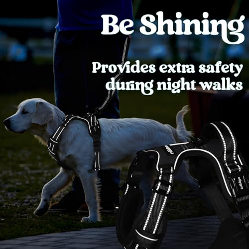 rabbitgoo Dog Harness for Large, No Pull Pet Harness with 3 Buckles, Adjustable Soft Padded Vest with Control Handle, Walking Reflective Pet Vest for Large Dogs, Black, L by rabbitgoo - Image 8