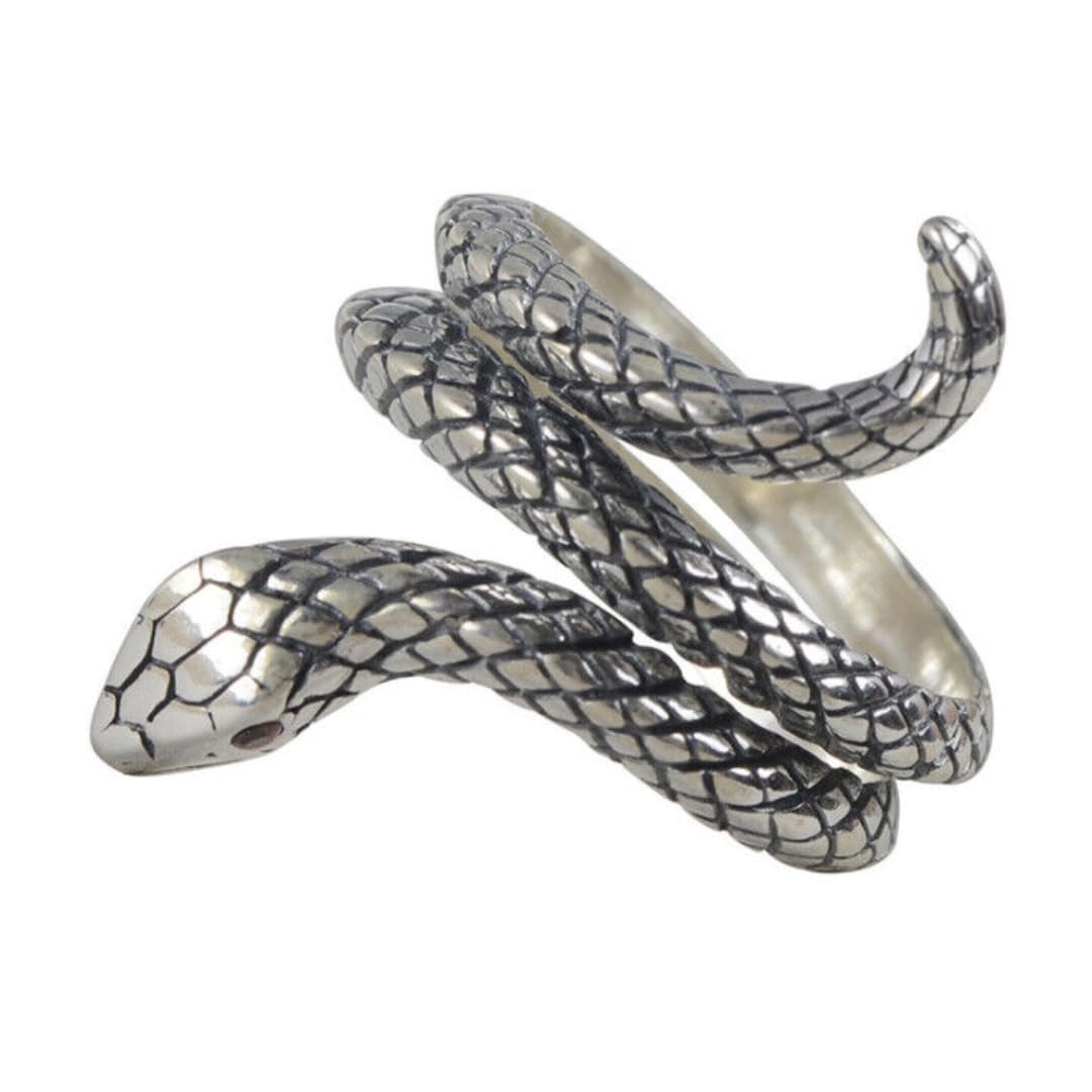 the men thing SERPENTINE Titanium Steel Ring for Men and Boys (Size-21)-picture-46