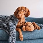 SmartPetLove Original Snuggle Puppy Heartbeat Stuffed Toy for Dogs - Pet Anxiety Relief and Calming Aid - Comfort Toy for Behavioral Training - Plus 6 Heat Packs (Biscuit) - Image 2