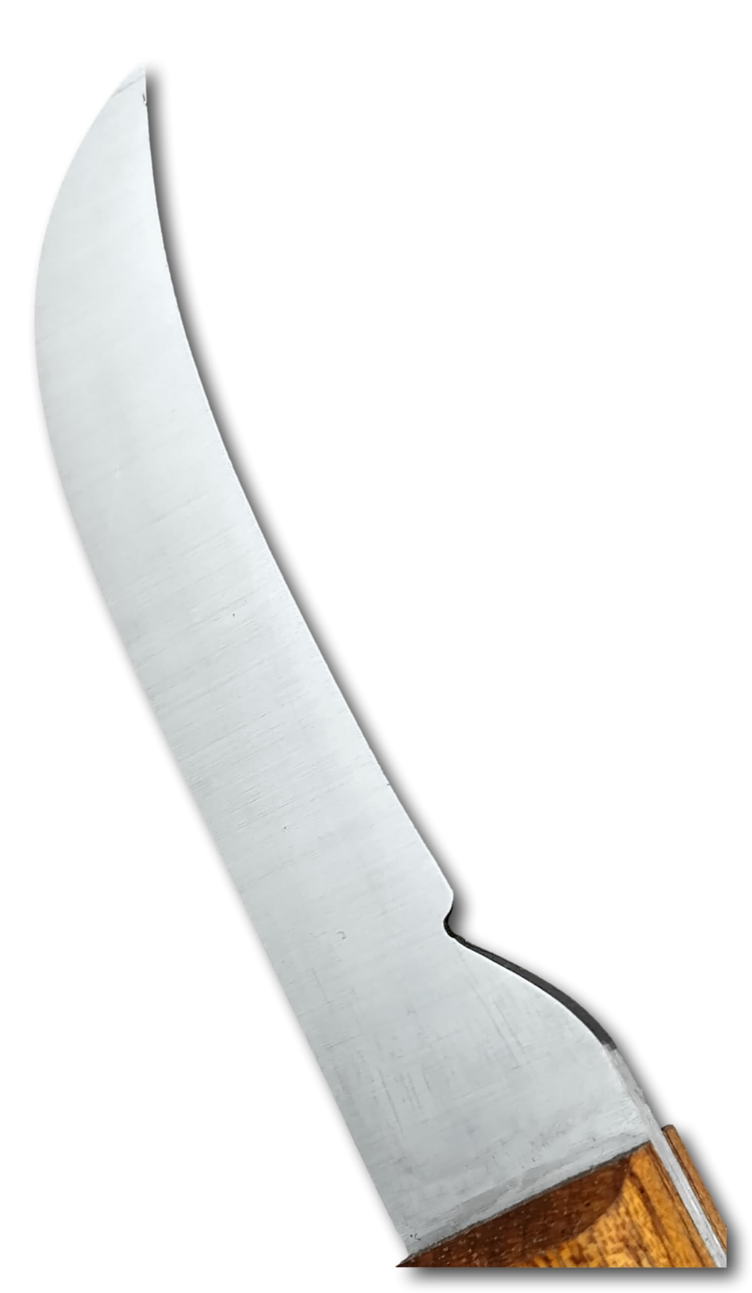 DUE BUOI 247L FX Coltello da Innesto a Lama Fissa Professionale Alberi da Frutto e Giardinaggio Acciaio Carbonio Manico in Legno