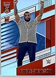 2022 Panini Chronicles #251 Gable Steveson Raw Elite RC Rookie Card Official WWE Wrestling Card in Raw (NM or Better) Condition