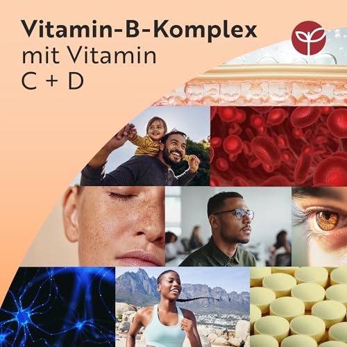 Nutravita Vitamin B Komplex mit Vitamin C + D + Biotin - 500 Tabletten für +1 Jahr Vorat, Stoffwechsel, Psychische Funktion, Nervensystem (EFSA)