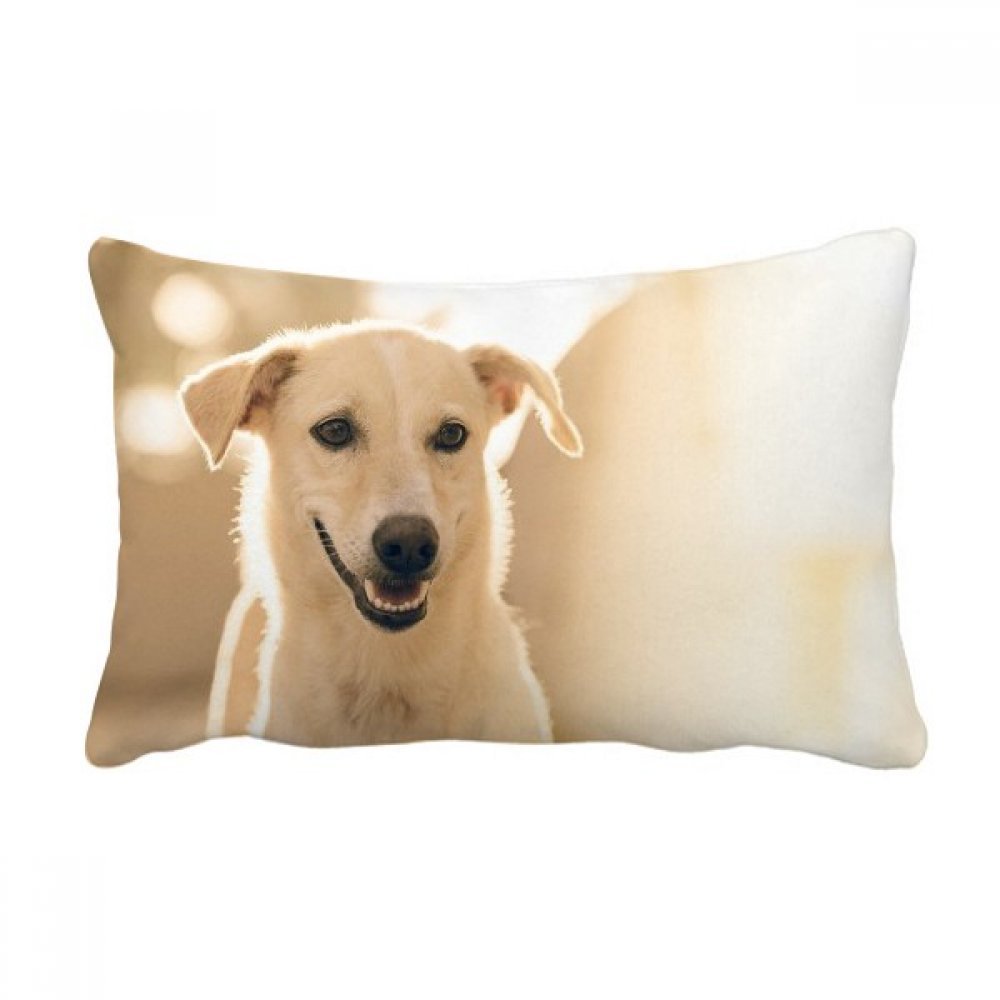 Coussin lombaire chien sourire blanc oreiller 40x60 cm pour canapé