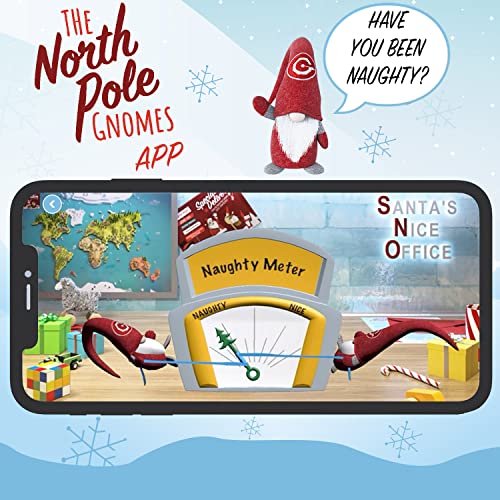 The North Pole Gnome: Santa's New Helper - A New Christmas Tradition