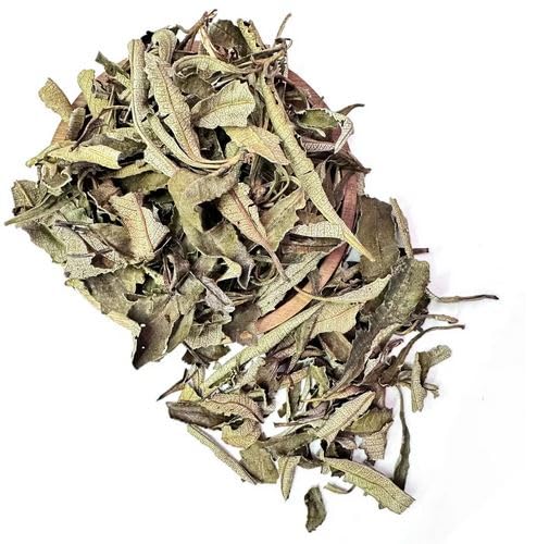 Miniatura 2 de NY SPICE SHOP Hoja entera de yerba santa - Hoja de yerba santa cruda - Té de hoja de yerba santa (suelto) - Té de hojas sueltas puro - Hojas de té