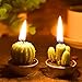 12 Pieces Cactus Tealight Candles Handmade Delicate Succulent Cactus Candles for Party Wedding Spa Home Decoration Gifts (Stylish Style)