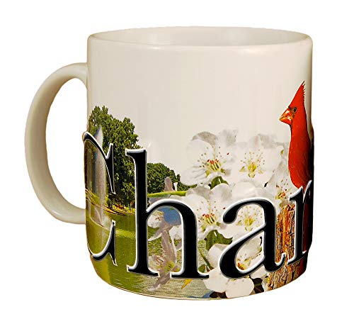 Americaware SMCHR01 Charlotte 18 oz Full Color Relief Mug