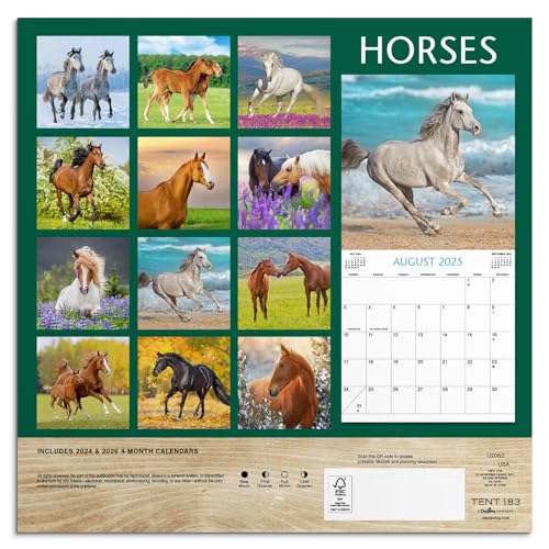Dayspring U2062 Horses 2025 Wall Calendar thumb #1