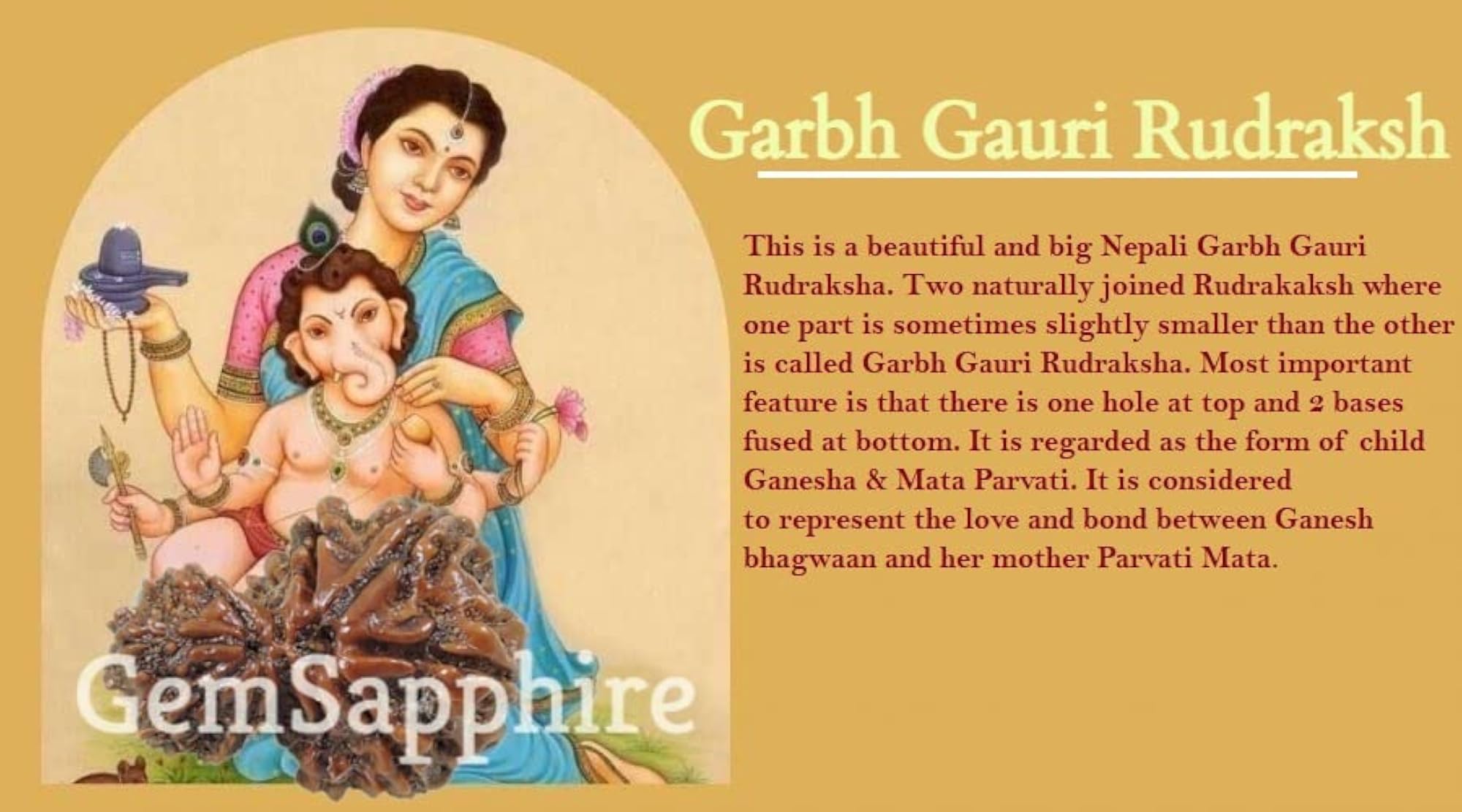 10 Mukhi Ganesh Gori Rudraksha Lab Certified Bead