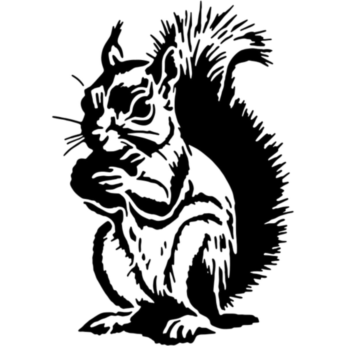 Azeeda 'Squirrel Nibbling On a Nut' Reusable Stencil – Durable Decorative Template for Painting and Spraying on Walls, Tiles, Wood, Fabric & Craft Projects - M (A5) (WS00054248)