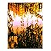 24 in. x 32 in. Ducks in Morning Light Canvas Art