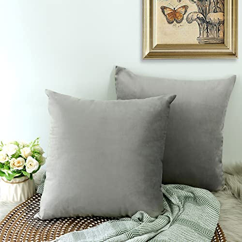 CALIYO Kissenbezug Samt Uni Kissenhülle Kissenbezüge für Zierkissen Dekokissen Sofakissen Couchkissen viele Farben(40x40 cm Grau) Cover