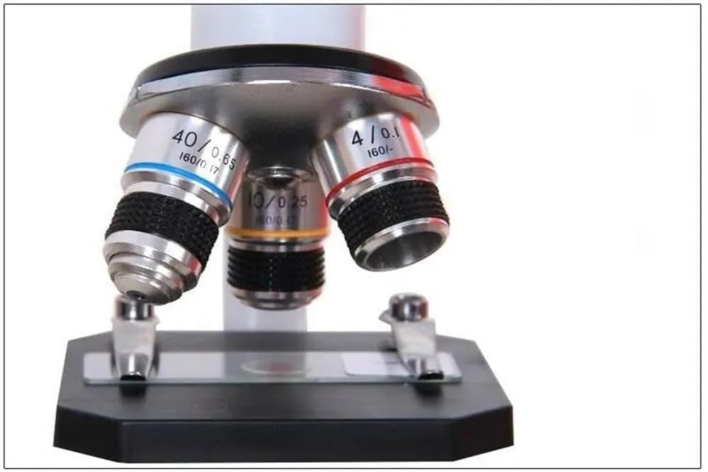 Kit microscopio 640X 800X monoculare Home School Digital Biologico Microscopio Ricerca Microscopio Microscopio Adattatori Lente Microscopio Microscopio, Con Lampada-Wf20X, Con Schermo E