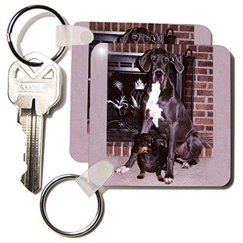 Porte-clés dogue allemand bleu 3drose lot de 2 de 5,7x11,4 cm