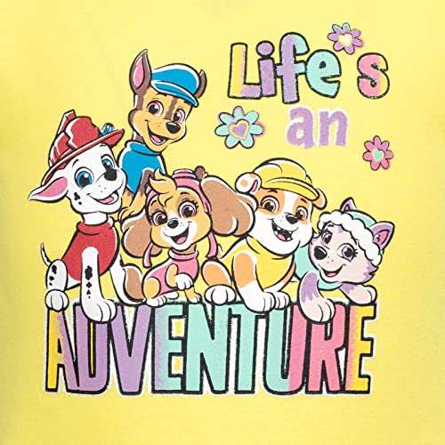 Paw Patrol Everest Rubble Marshall Chase Skye Girls Dress Toddler to Big Kid3