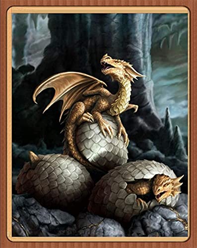 Kit Point de Croix Estampillé Dragon Facile | Broderie Sans Erreur pour Débutant Adulte
