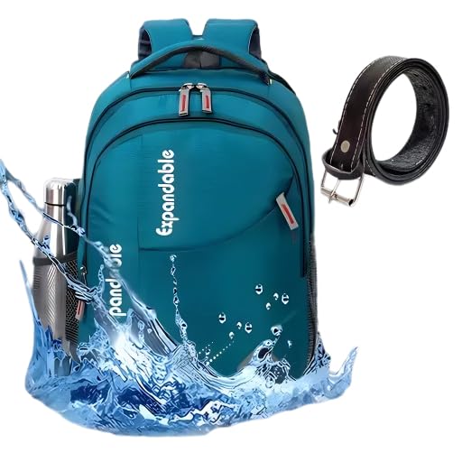 30 L Casual Waterproof Laptop Bag for Boys Girls with Free Kids Belt|9-image-29