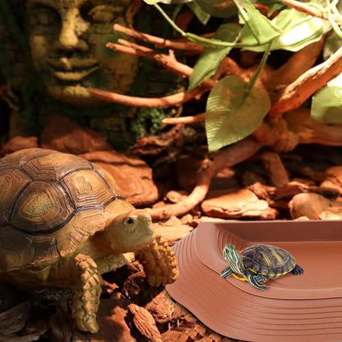 Bol à eau serpent avec rampe pour un terrarium jungle naturel et sûr